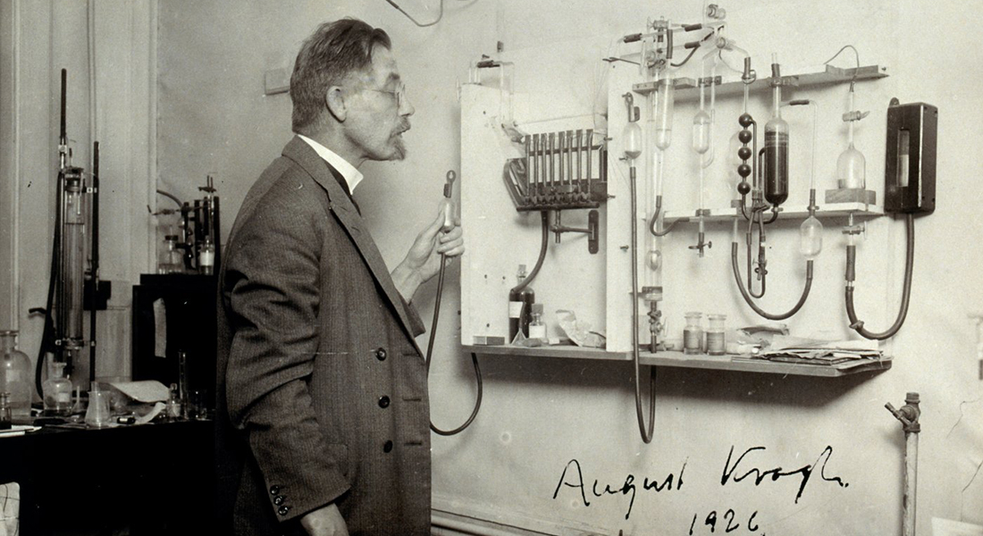 August Krogh, 1926.